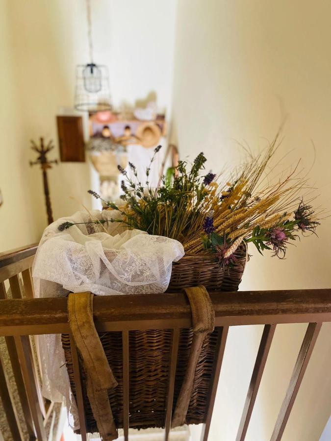 Bed and Breakfast Anticacascina à Quarto  Extérieur photo