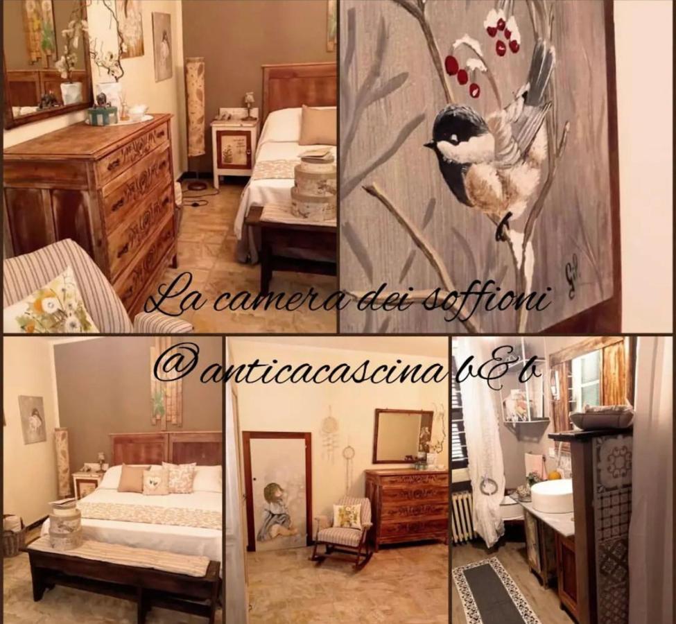 Bed and Breakfast Anticacascina à Quarto  Extérieur photo